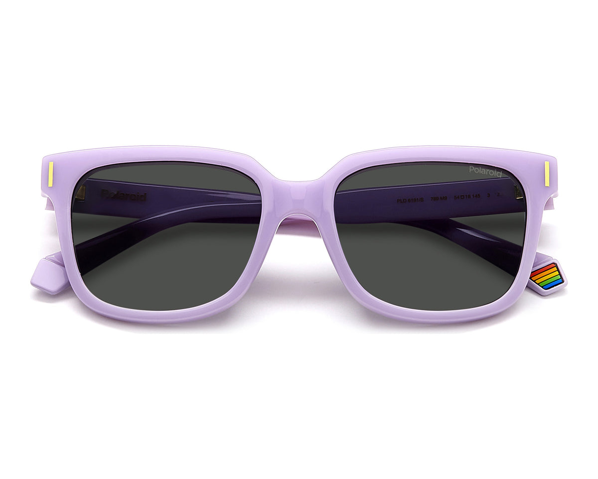 Polaroid PLD 6191/S Sunglasses