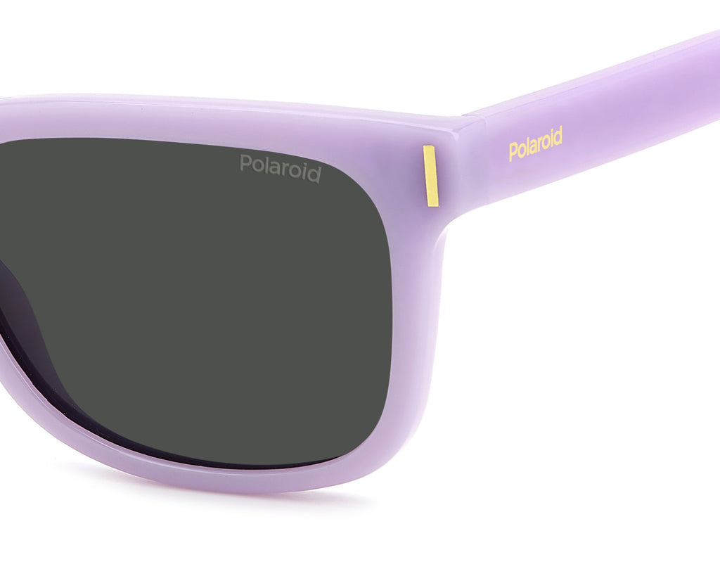 Polaroid PLD 6191/S Sunglasses