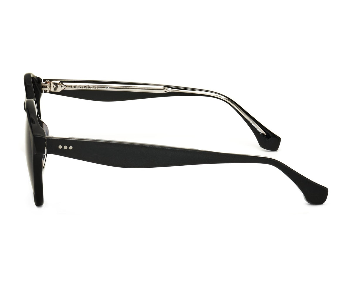 Sandro SDS1030 Sunglasses